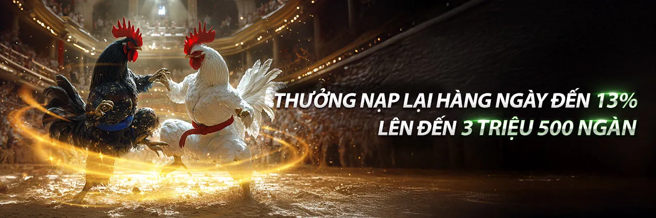 Trải nghiệm cá cược thể thao đỉnh cao tại 6FFBET